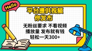平台提供视频 你发布 无粉丝要求 不看视频播放量 发布就有钱 轻松一天300+-男爵娱创[知识付费]