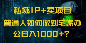 私域IP+卖项目，普通人如何做到宅家办公实现日入1000+-男爵娱创[知识付费]