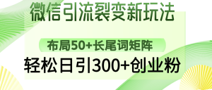 微信引流裂变新玩法：布局50+长尾词矩阵，轻松日引300+创业粉-男爵娱创[知识付费]