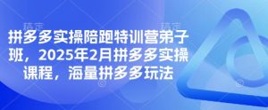 拼多多实操陪跑特训营弟子班，2025年2月拼多多实操课程，海量拼多多玩法-男爵娱创[知识付费]