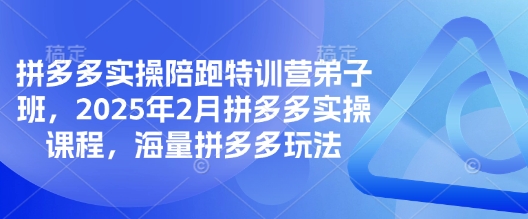 拼多多实操陪跑特训营弟子班，2025年2月拼多多实操课程，海量拼多多玩法-男爵娱创[知识付费]
