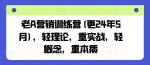 老A营销训练营(更25年3月)，轻理论，重实战，轻概念，重本质-男爵娱创[知识付费]