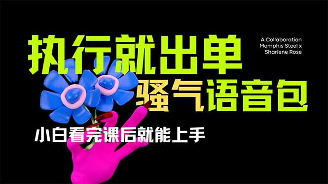 爆火全网的开车导航骚气语音包,只要执行就出单，小白看完课程就能实操…-男爵娱创[知识付费]