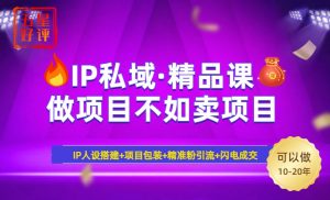2025年“IP私域·密训精品课”，日赚3000+小白避坑年赚百万，暴力引流...-男爵娱创[知识付费]