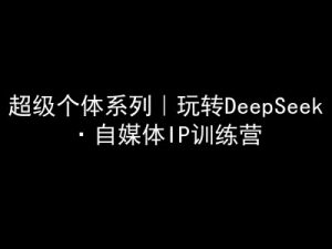 超级个体系列，玩转DeepSeek·自媒体IP训练营，deepseek教程-男爵娱创[知识付费]