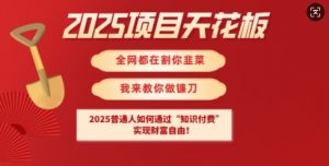 2025项目天花板普通人如何通过知识付费，实现财F自由【揭秘】-男爵娱创[知识付费]