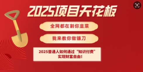 2025项目天花板普通人如何通过知识付费，实现财F自由【揭秘】-男爵娱创[知识付费]