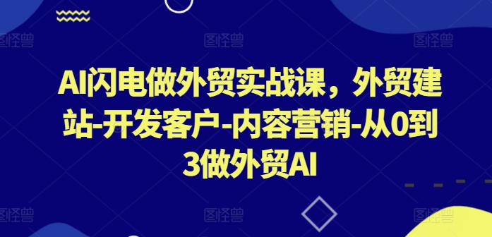AI闪电做外贸实战课，​外贸建站-开发客户-内容营销-从0到3做外贸AI(更新)-男爵娱创[知识付费]