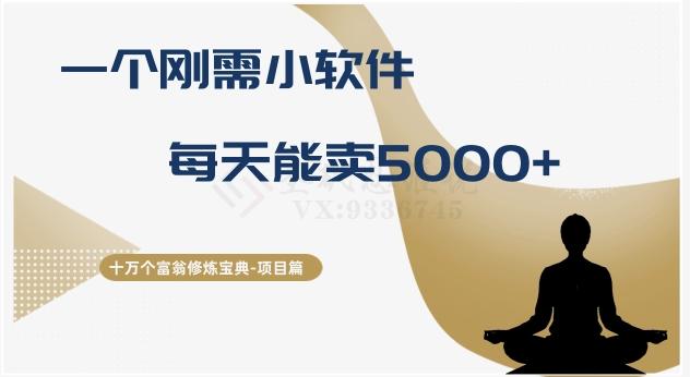 十万个富翁修炼宝典之17.一个刚需小软件，每天能卖5000+-男爵娱创[知识付费]