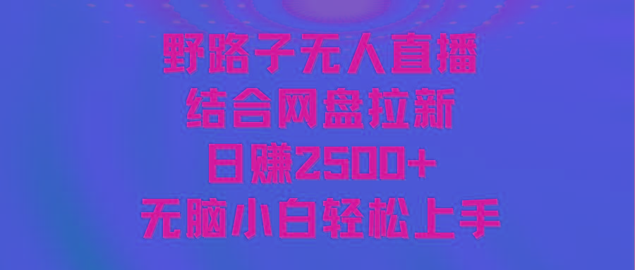 无人直播野路子结合网盘拉新，日赚2500+多平台变现，小白无脑轻松上手操作-男爵娱创[知识付费]