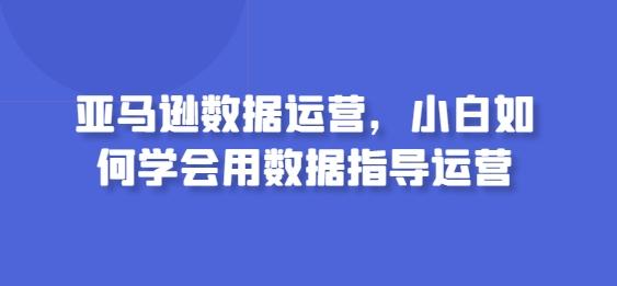 亚马逊数据运营，小白如何学会用数据指导运营-男爵娱创[知识付费]