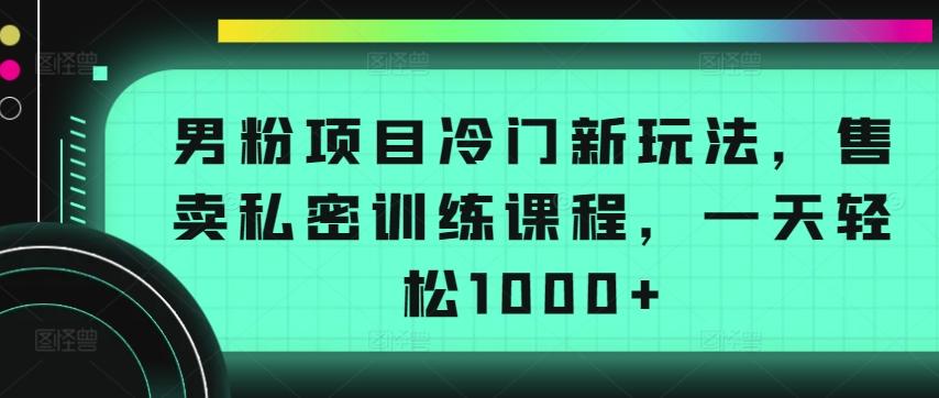 男粉项目冷门新玩法，售卖私密训练课程，一天轻松1000+【揭秘】-男爵娱创[知识付费]