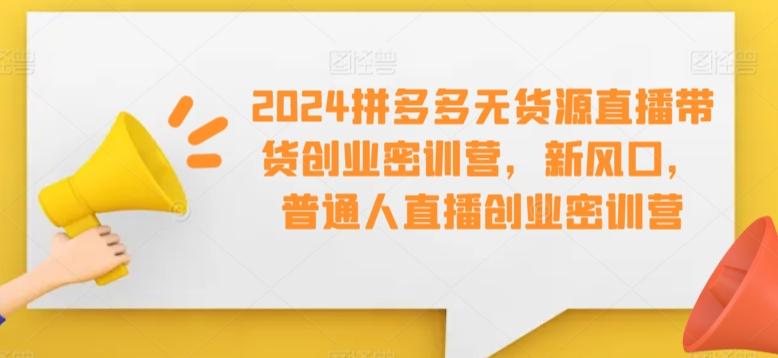 2024拼多多无货源直播带货创业密训营，新风口，普通人直播创业密训营-男爵娱创[知识付费]