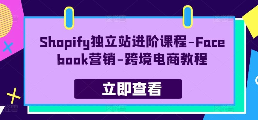 Shopify独立站进阶课程-Facebook营销-跨境电商教程-男爵娱创[知识付费]