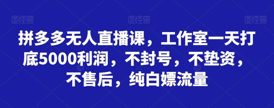 拼多多无人直播课，工作室一天打底5000利润，不封号，不垫资，不售后，纯白嫖流量-男爵娱创[知识付费]