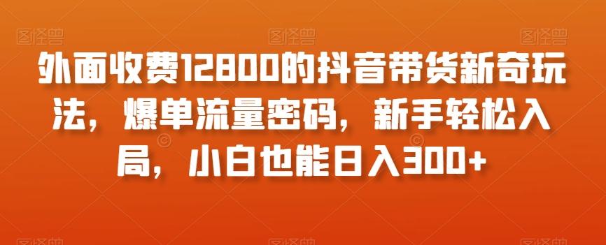外面收费12800的抖音带货新奇玩法，爆单流量密码，新手轻松入局，小白也能日入300+【揭秘】-男爵娱创[知识付费]
