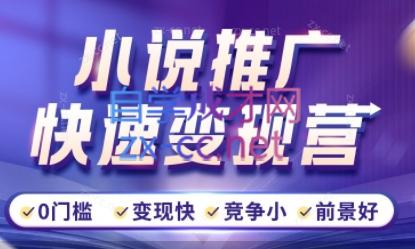 洲洲老师·小说推广快速变现营-男爵娱创[知识付费]