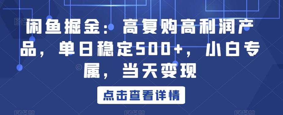 闲鱼掘金：高复购高利润产品，单日稳定500+，小白专属，当天变现-男爵娱创[知识付费]