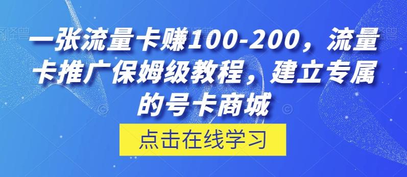 一张流量卡赚100-200，流量卡推广保姆级教程，建立专属的号卡商城-男爵娱创[知识付费]