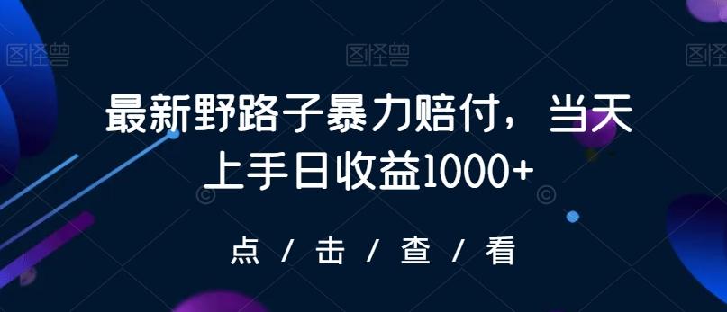 最新野路子暴力赔付，当天上手日收益1000+【仅揭秘】-男爵娱创[知识付费]