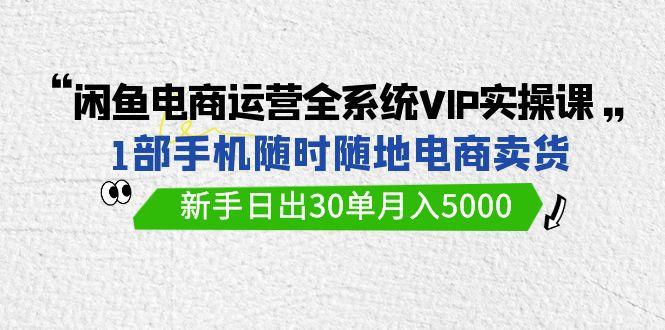 (9547期)闲鱼电商运营全系统VIP实战课，1部手机随时随地卖货，新手日出30单月入5000-男爵娱创[知识付费]