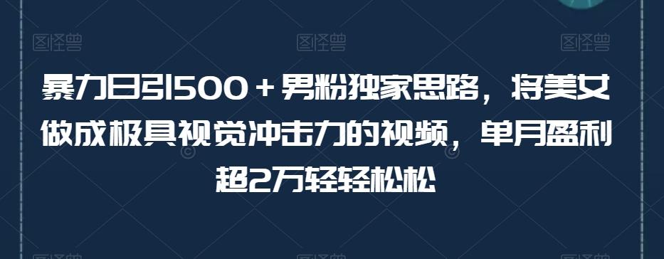 暴力日引500＋男粉独家思路，将美女做成极具视觉冲击力的视频，单月盈利超2万轻轻松松-男爵娱创[知识付费]