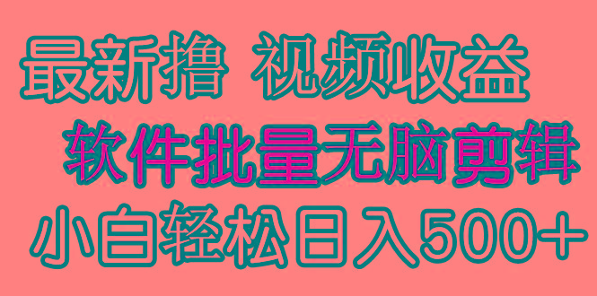 (9569期)发视频撸收益，软件无脑批量剪辑，第一天发第二天就有钱-男爵娱创[知识付费]