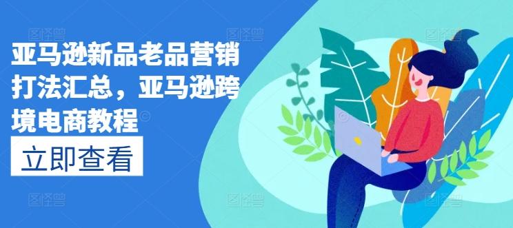 亚马逊新品老品营销打法汇总，亚马逊跨境电商教程-男爵娱创[知识付费]