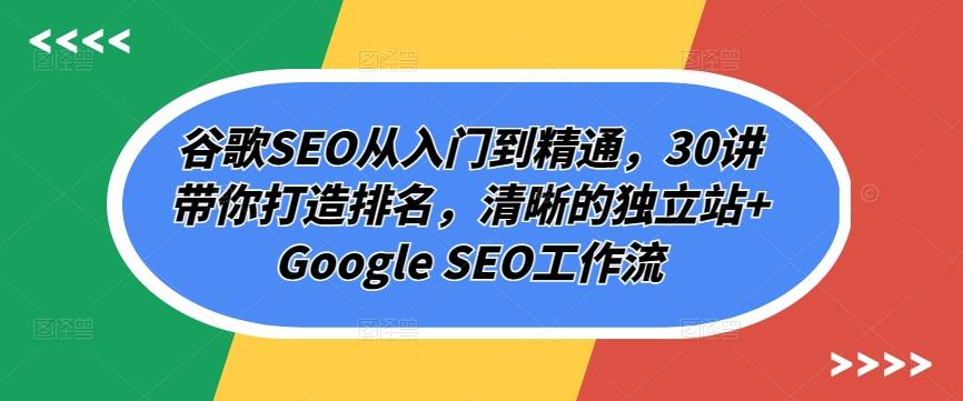 谷歌SEO从入门到精通，30讲带你打造排名，清晰的独立站+Google SEO工作流-男爵娱创[知识付费]