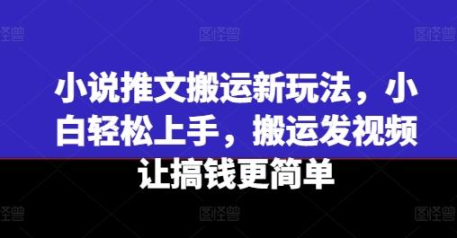 小说推文搬运新玩法，小白轻松上手，搬运发视频让搞钱更简单-男爵娱创[知识付费]