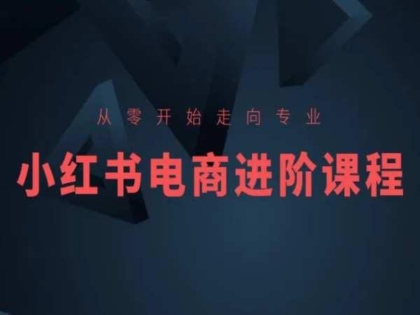从零开始走向专业，小红书电商进阶课程-男爵娱创[知识付费]