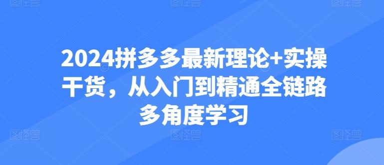2024拼多多最新理论+实操干货，从入门到精通全链路多角度学习-男爵娱创[知识付费]