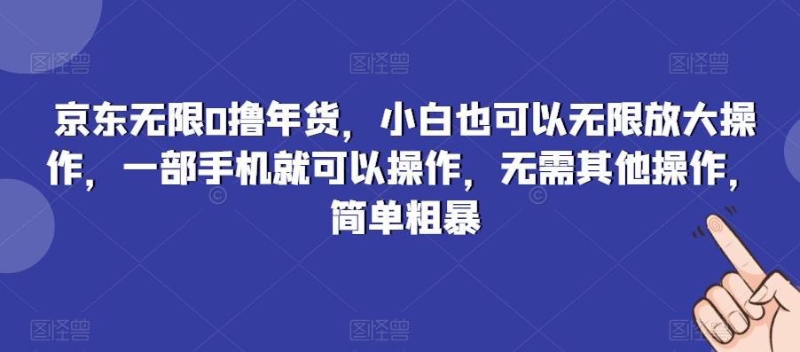 京东无限0撸年货，小白也可以无限放大操作，一部手机就可以操作，无需其他操作，简单粗暴-男爵娱创[知识付费]