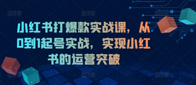 小红书打爆款实战课，从0到1起号实战，实现小红书的运营突破-男爵娱创[知识付费]