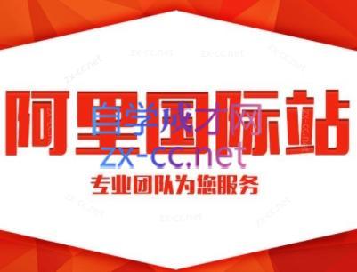 张杰老师·外贸国际站运营顾问-男爵娱创[知识付费]