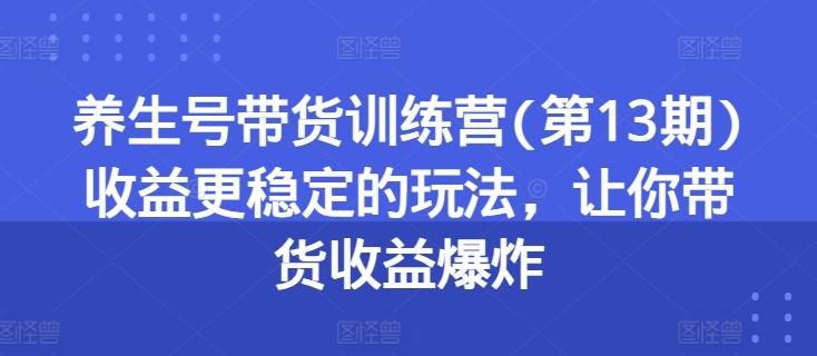 养生号带货训练营(第13期)收益更稳定的玩法，让你带货收益爆炸-男爵娱创[知识付费]