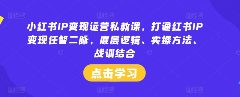 小红书IP变现运营私教课，打通红书IP变现任督二脉，底层逻辑、实操方法、战训结合-男爵娱创[知识付费]