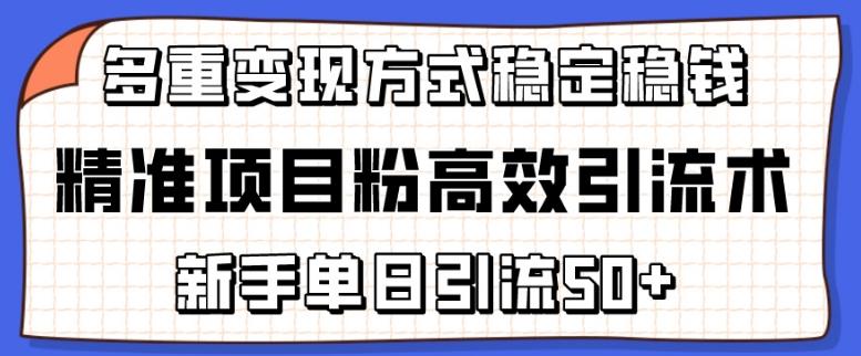 精准项目粉高效引流术，新手单日引流50+，多重变现方式稳定赚钱【揭秘】-男爵娱创[知识付费]