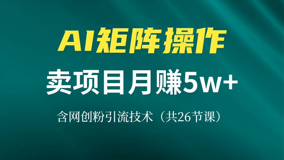 网创IP打造课，借助AI卖项目月赚5万+，含引流技术(共26节课-男爵娱创[知识付费]