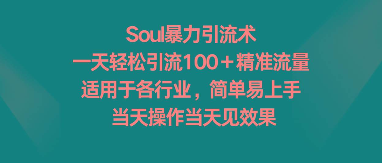 Soul暴力引流术，一天轻松引流100＋精准流量，适用于各行业，简单易上手！-男爵娱创[知识付费]