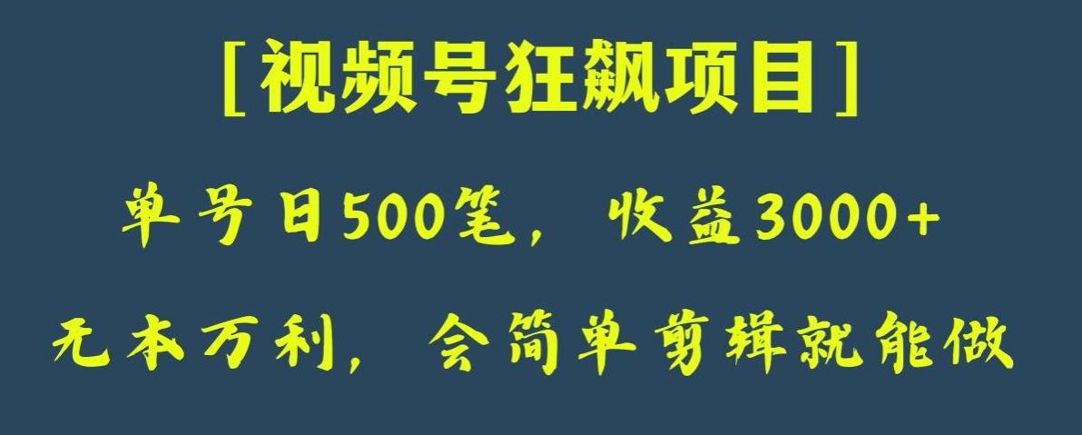 日收款500笔，纯利润3000+，视频号狂飙项目，会简单剪辑就能做【揭秘】-男爵娱创[知识付费]
