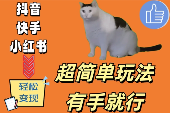 超简单玩法，有手就行，靠猫咪视频日入500+【揭秘】-男爵娱创[知识付费]