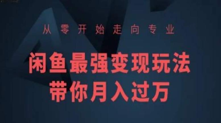从零开始走向专业，闲鱼最强变现玩法带你月入过万-男爵娱创[知识付费]