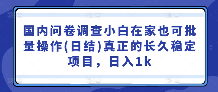 国内问卷调查小白在家也可批量操作(日结)真正的长久稳定项目，日入1k【揭秘】-男爵娱创[知识付费]