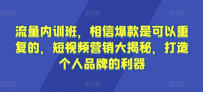 流量内训班，相信爆款是可以重复的，短视频营销大揭秘，打造个人品牌的利器-男爵娱创[知识付费]