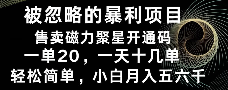 被忽略的暴利项目！售卖磁力聚星开通码，一单20，一天十几单，轻松月入五六千-男爵娱创[知识付费]
