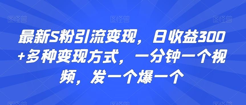 最新S粉引流变现，日收益300+多种变现方式，一分钟一个视频，发一个爆一个【揭秘】-男爵娱创[知识付费]