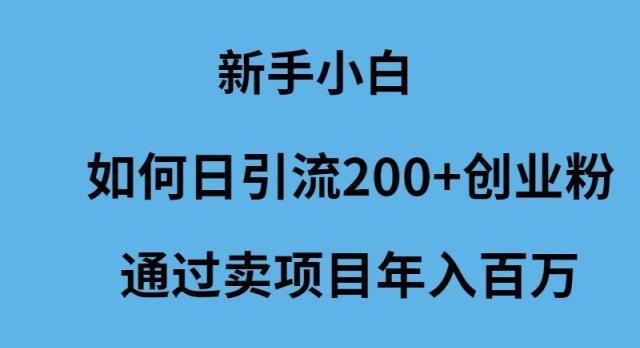 (9668期)新手小白如何日引流200+创业粉通过卖项目年入百万-男爵娱创[知识付费]