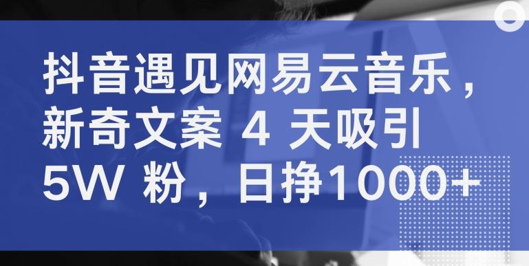抖音遇见网易云音乐，新奇文案 4 天吸引 5W 粉，日挣1000+【揭秘】-男爵娱创[知识付费]