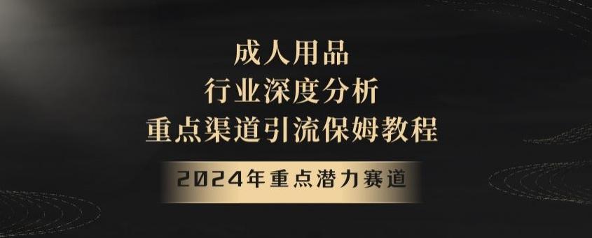 2024年重点潜力赛道，成人用品行业深度分析，重点渠道引流保姆教程【揭秘】-男爵娱创[知识付费]